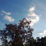 Nokia Lumia 920 Windows Phone 8 Review