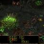 Hell Hath No Fury: Starcraft II: Heart of the Swarm