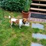 Nokia Lumia 1020 Smartphone Review