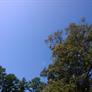 Nokia Lumia 1020 Smartphone Review