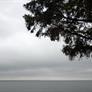 Nokia Lumia 925 Smartphone Review