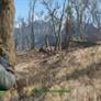 Fallout 4 Gameplay And Performance Review