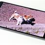 Huawei Mate 8 Review: Examining ARM's Cortex-A72 And HiSilicon's Kirin 950