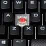 5-Way Mechanical Keyboard Roundup: Top Decks For Gamers And Enthusiasts