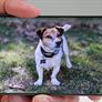 Samsung Galaxy S20 Ultra 5G Review: Big, Bold, Tricked-Out