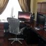 Working From Home Guide: Top Tips For Maximum Productivity