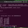 NVIDIA Jetson AGX Orin Dev-Kit Eval: Inside An AI Robot Brain