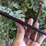 Motorola Edge+ (2023) Review: Moto Got Its Mojo Back