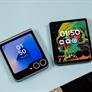 Motorola Razr And Razr+ (2024) Review: Phenomenal Flip Phones