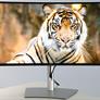Dell UltraSharp 40 5K IPS Black 120Hz Monitor Review: It’s A Stunner