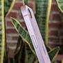 iPhone 17e Review: Apple Just Perfected Its Entry-Level Phone