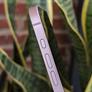 iPhone 17e Review: Apple Just Perfected Its Entry-Level Phone