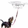 Proflight Walkies Dog Drone Wants To Be Your Pup's Best Friend