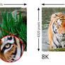 HDMI 2.1 Spec Officially Released With Support For 10K Video Resolution