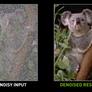 Watch As NVIDIA Noise2Noise AI Magically Fixes Grainy Photos With Deep Learning