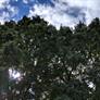 Google Pixel 3 Camera Shots Preview: The Most Impressive Pixel Camera Yet