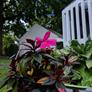 Google Pixel 3 Camera Shots Preview: The Most Impressive Pixel Camera Yet