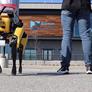 Watch Boston Dynamics Spot Robot Dog Retrofitted For Beer Delivery Via Precision Pee Blast