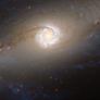 Hubble Telescope Gazes 48M Light Years From Earth And A Gorgeous Galactic Eye Stares Back