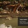 Forget Old School Ray Tracing, NVIDIA Demos Stunning Real-Time Path Tracing