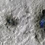 NASA'S Audio Clip Of Meteroids Slamming Into Mars Sounds Way Different Than You Think