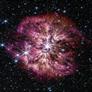 NASA's Space Telescope Shares Stunning Image Of A Star In Rare Detail Before It Explodes