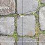 NVIDIA Unlocks Higher Quality Textures With Neural Compression For 4X VRAM Savings