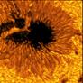 Solar Telescope Snaps Stunning Closeups Of The Sun As You've Never Seen It Before