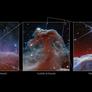 NASA’s Webb Space Telescope Captures Horsehead Nebula In Stunning Detail
