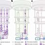 Researchers Achieve Quantum Computing Breakthrough That Could Be Game-Changing