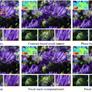 Carnegie Mellon's Camera Lens Breakthrough Eliminates Background Photo Blur