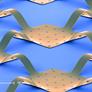Researchers Create a Bionic Eye