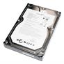 Western Digital Caviar Black and RE4 2TB Drives Review