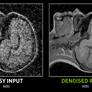 Watch As NVIDIA Noise2Noise AI Magically Fixes Grainy Photos With Deep Learning