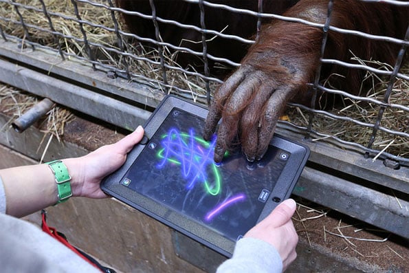 Orangutan iPad